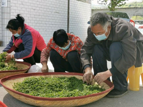 圖片3