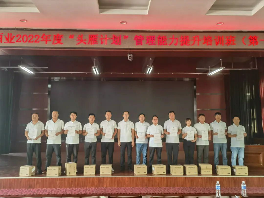 圖片10