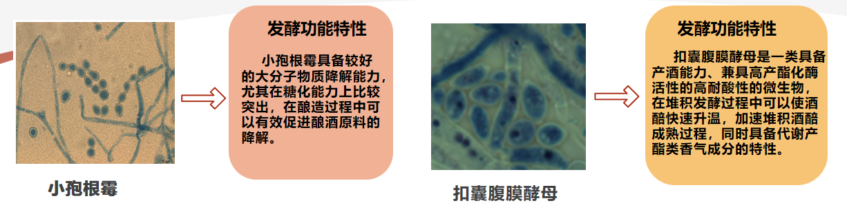 圖片4