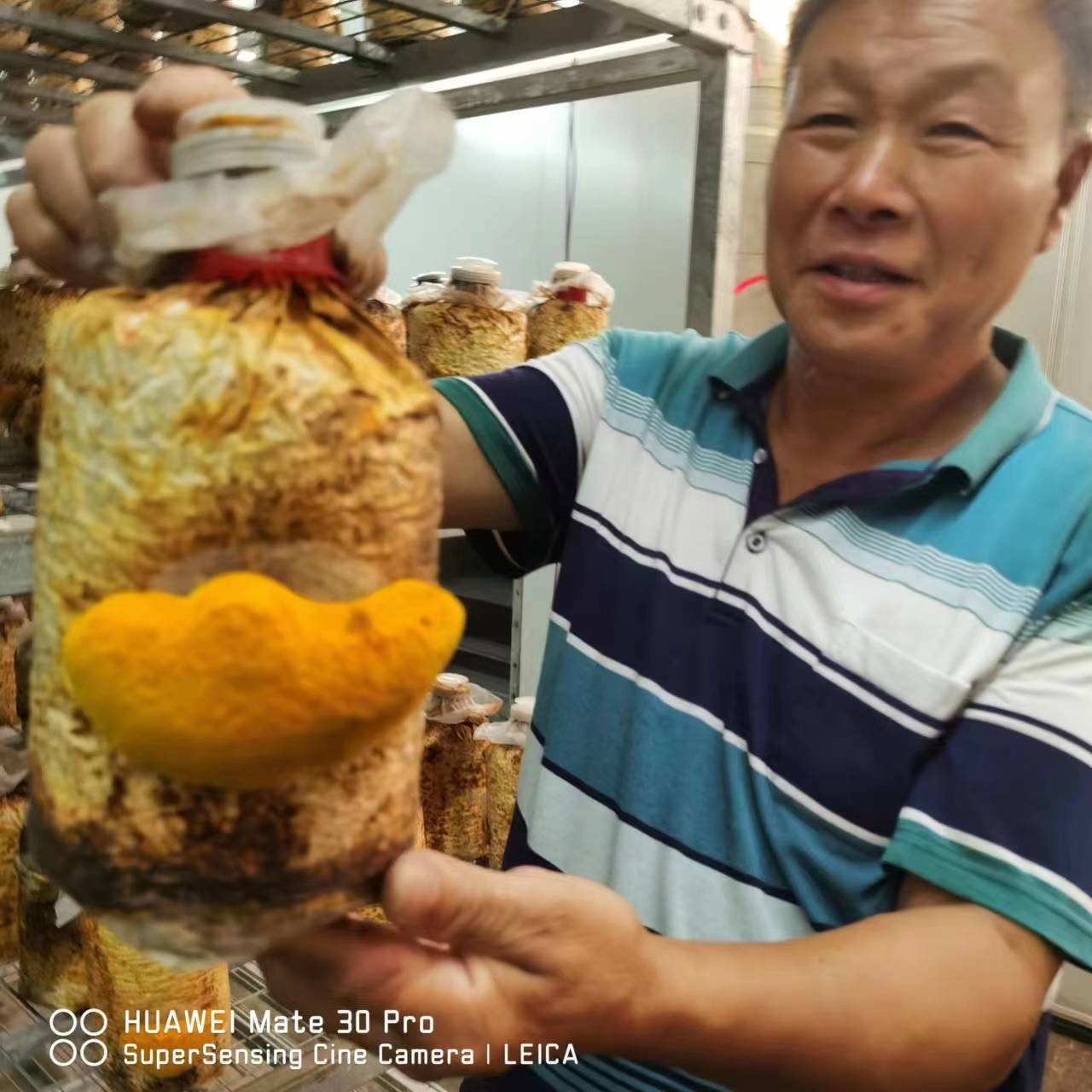 圖片2