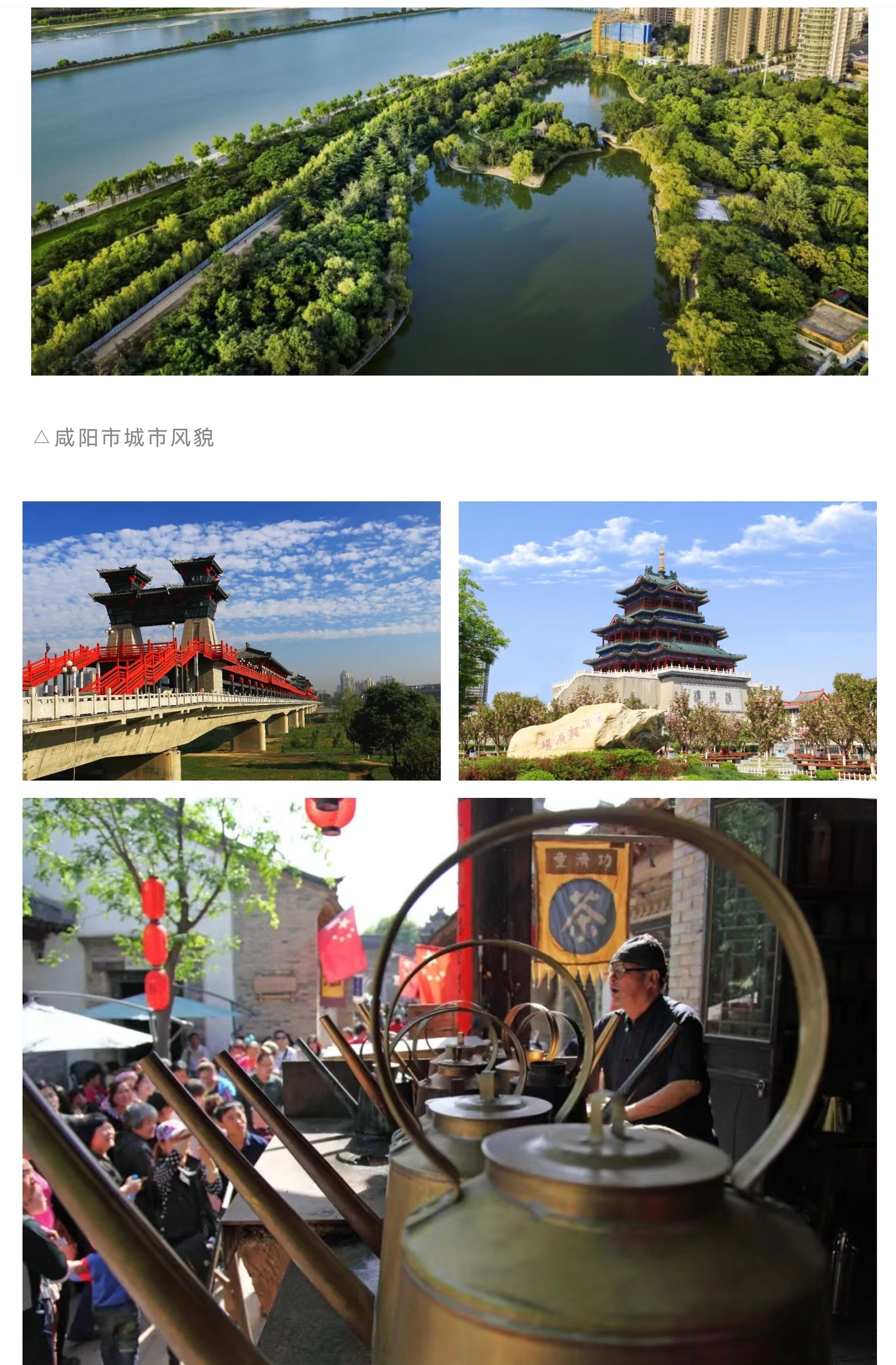 圖片5