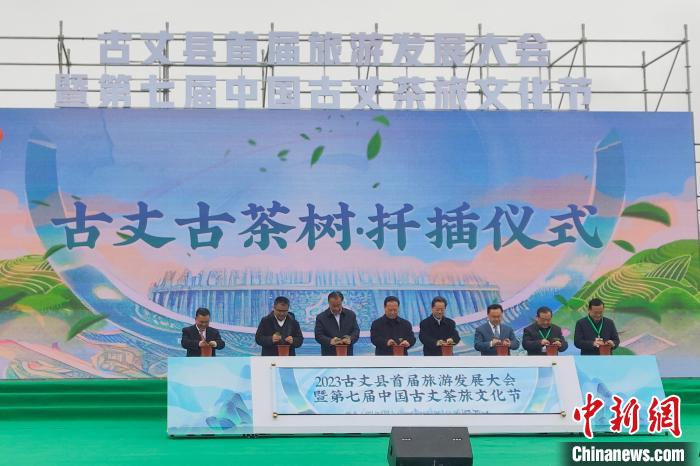 “千年茶鄉(xiāng)”湖南古丈縣茶旅融合振興鄉(xiāng)村