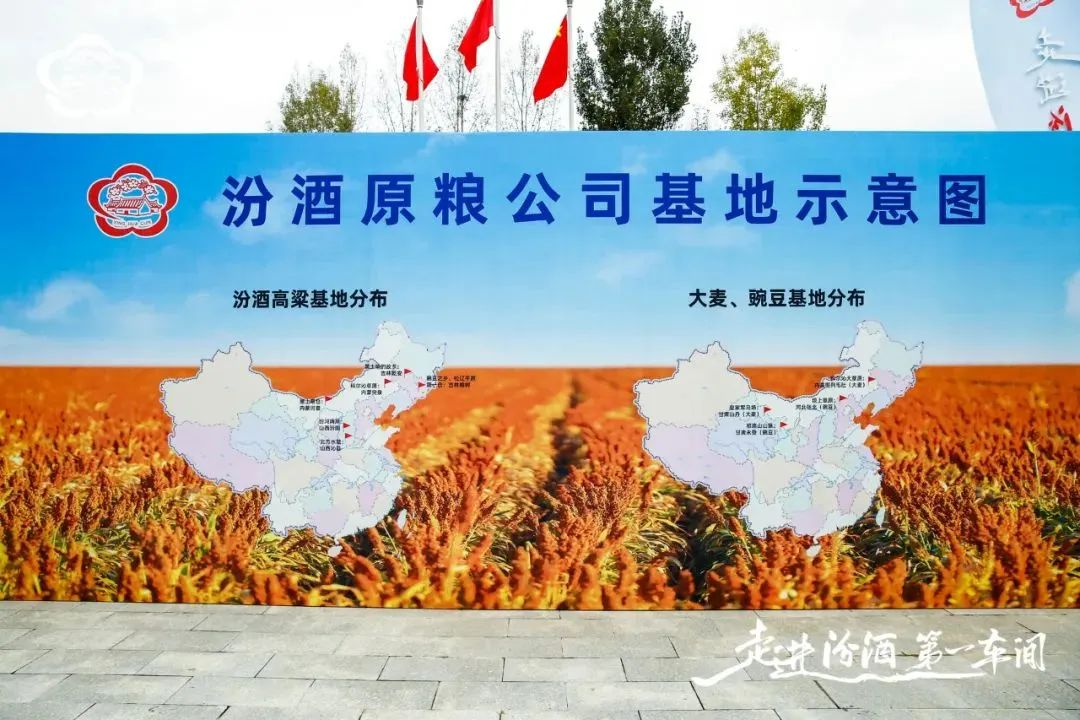 圖片5