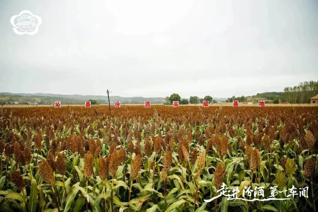 圖片4