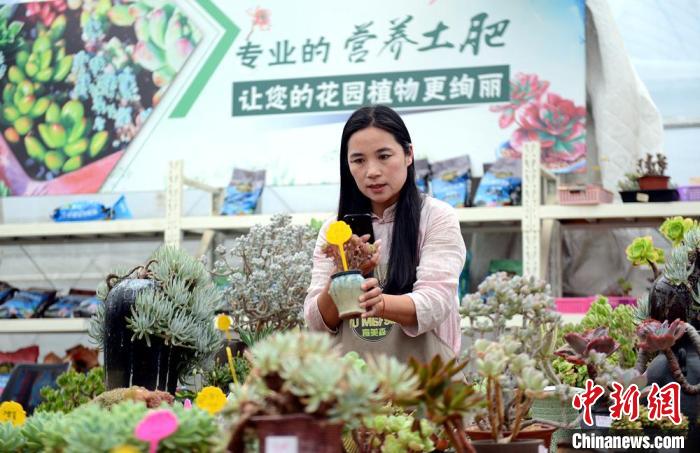 宿遷網(wǎng)店數(shù)量超10萬(wàn)，吸納就業(yè)人數(shù)達(dá)60萬(wàn)。　宿遷市委宣傳部供圖