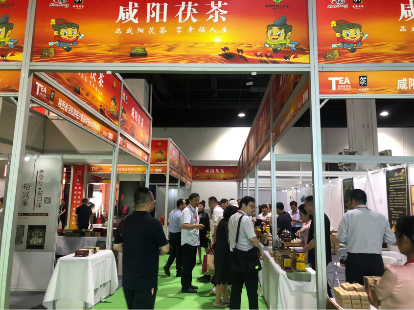 圖片12