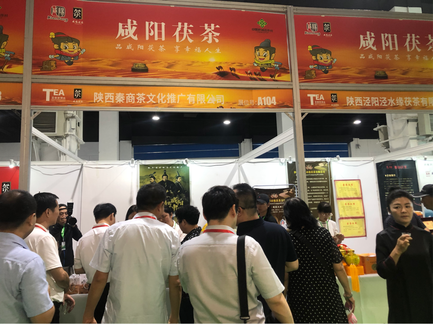 圖片11