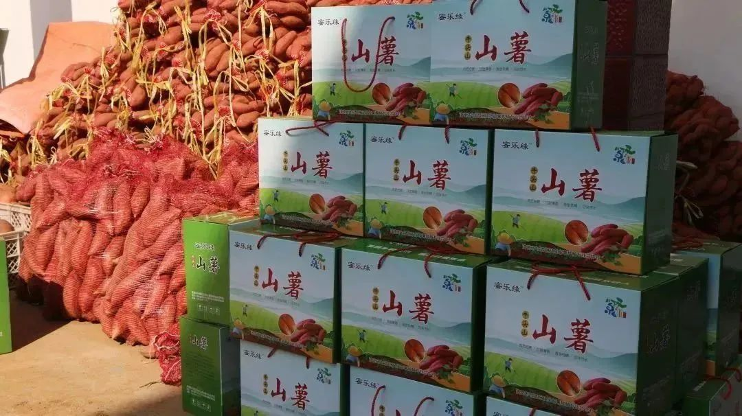 圖片6