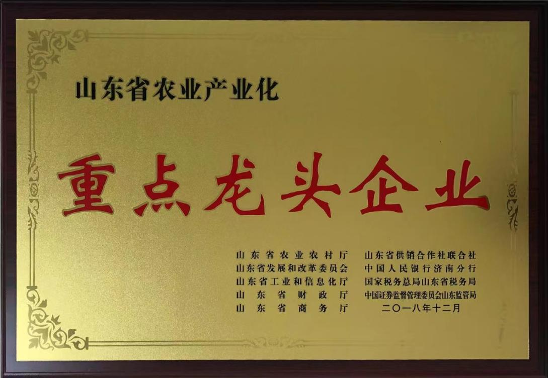 圖片2
