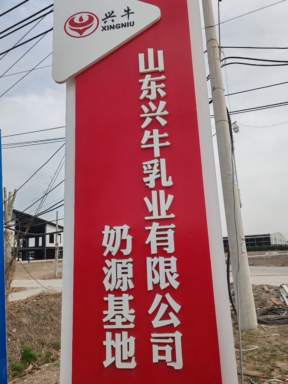 圖片6