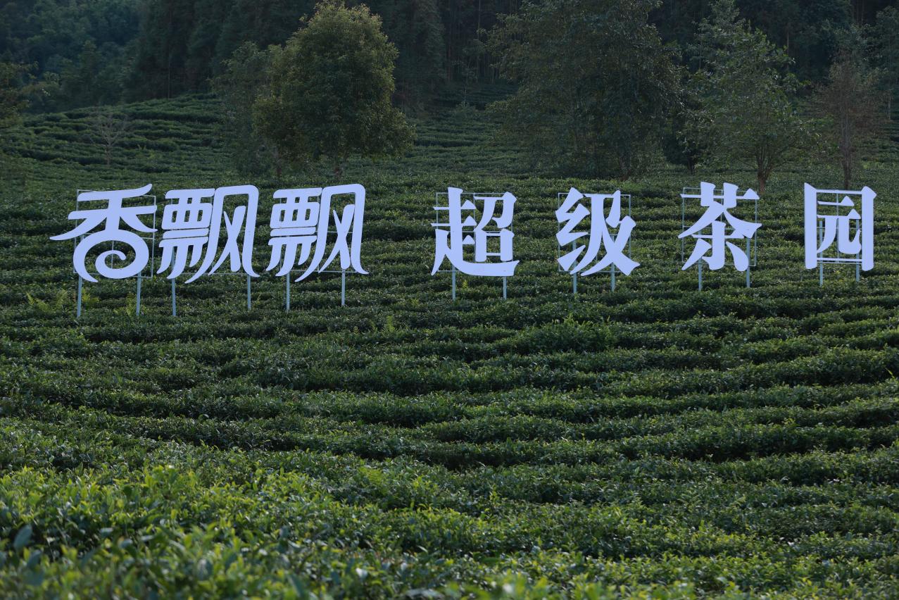 圖片9.jpg